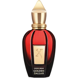 Xerjoff Golden Dallah 100...