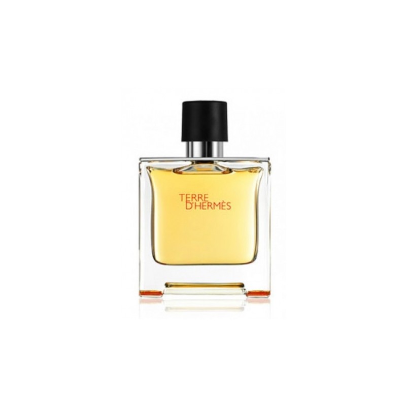 Hermes Terre D Hermes Pure 100ml  Erkek Parfümü