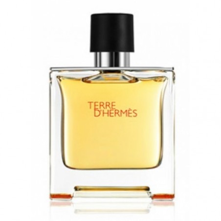 Hermes Terre D Hermes Pure Erkek Parfümü 100 ml